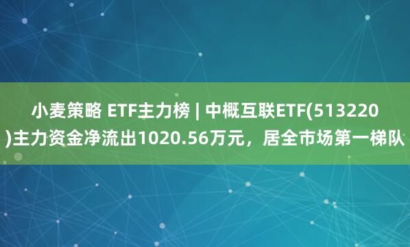 小麦策略 ETF主力榜 | 中概互联ETF(513220)主力资金净流出1020.56万元，居全市场第一梯队