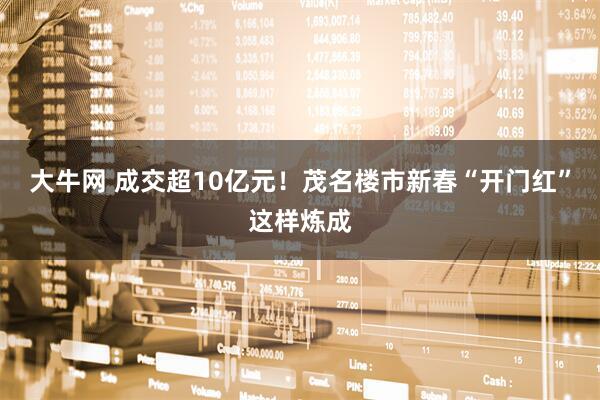 大牛网 成交超10亿元！茂名楼市新春“开门红”这样炼成