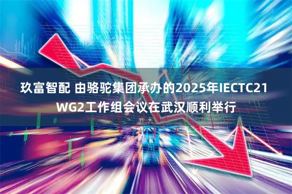 玖富智配 由骆驼集团承办的2025年IECTC21 WG2工作组会议在武汉顺利举行